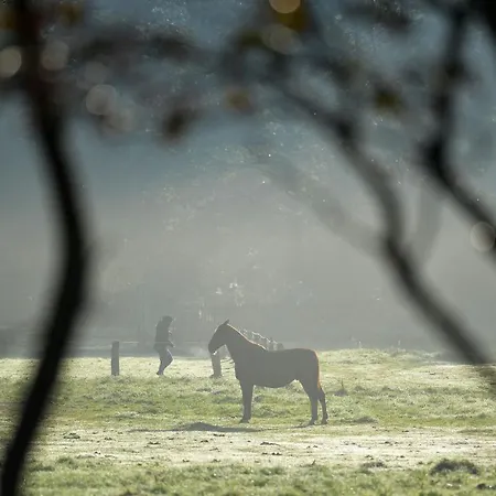 Appartamento Haus Seewind Hs14