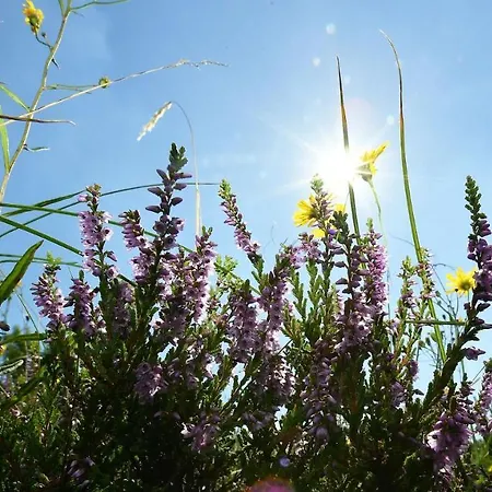 Haus Seewind Hs14 * Cuxhaven