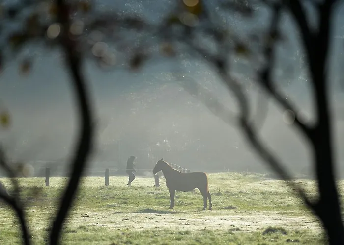 Lägenhet Haus Seewind Hs14